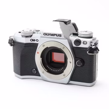Olympus OM-D E-M5 Mark II Silver Mirrorless Camera Body #219