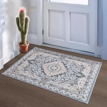Small Rugs for Entryway 2x3 Feet, Non-Slip Doormat Indoor Entrance Vintage