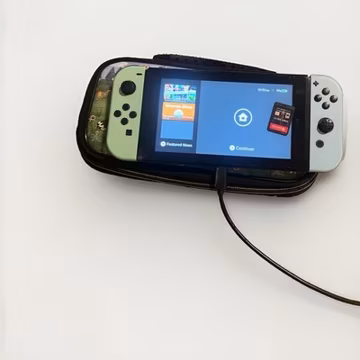 Nintendo Switch bundle Animal Crossing Edition w Travel Case and Dark souls game