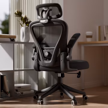 Ergonomic Mesh Office Chair Desk Chair Computer Chair with Lumbar Support Black