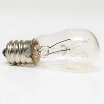 Exact WE4M305 Clothes Dryer Light Bulb Lamp for GE 120V 10 Watt
