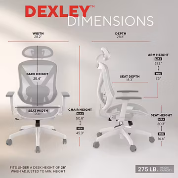 Staples Ergonomic Task Chair, Mesh, Ergonomic, Lumbar Support, Gray