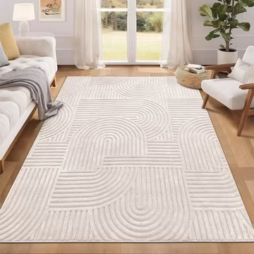 Pauwer 5x7 Washable Area Rugs Living Room Modern Beige Solid Color Soft Fluffy