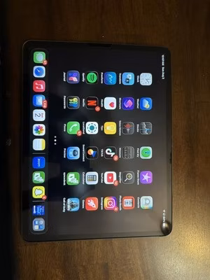 APPLE iPad Pro 3rd Gen A1876 12.9" 64GB Gray WiFi Only iOS 18 -READ DESCRIPTION