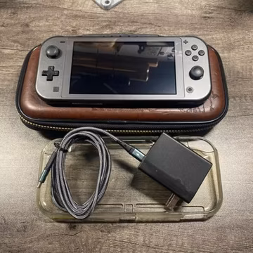 Nintendo Switch Lite Gray 32GB Handheld w/ Case + Mario Kart 8 + Crash CTR