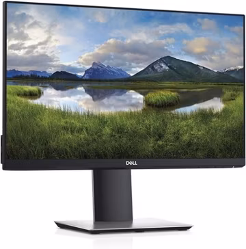 DELL Flat Panel Monitor Model p2219H, 21.5", MONITOR ONLY