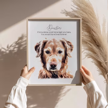 Personalized Pet Memorial Dog Frame Pet Loss Gifts Cat Loss Gift Dog Mom Gift Pet Portrait Gift Pet Sympathy Gift Watercolor Pet Portrait