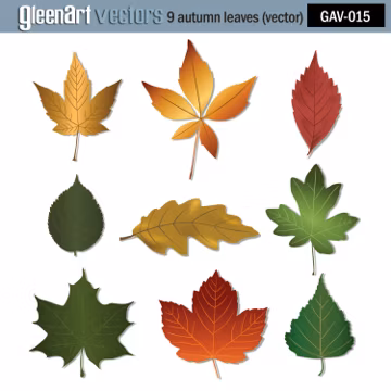 50% Off Sale - 9 Autumn leaves vector graphic/Clipart/Clipart/INSTANT DOWNLOAD