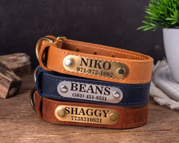 Personalized Engraved Leather Dog Collar, Dog Collar with a Nameplate, Leather Dog Collar with ID Plate, Dog Collar with Customization Badge
