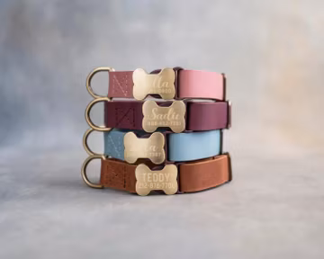 Dog collar leather, dog collar personalized, dog collar girl, dog collar boy, dog collar engraved, dog collar with bone-shaped buckle