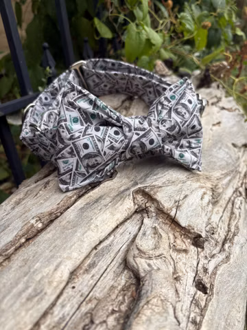 Dollar Print Dog Collar: Martingale or Buckle