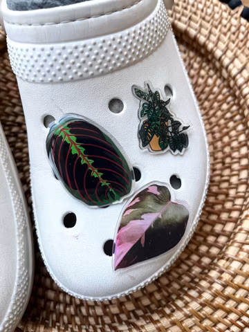 Maranta Prayer Plant Leaf Shoe Charm, Handmade Acrylic Plant Pin