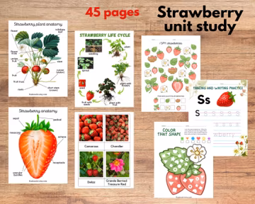 Strawberry unit study, Strawberry anatomy and strawberry varieties, Strawberry three-part cards, tracing, writing and math worksheets