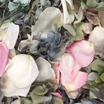 Real Rose & Hydrangea Petals: Biodegradable Confetti. Serendipity Blend, Freeze-dried Wedding Petals. USA Grown.