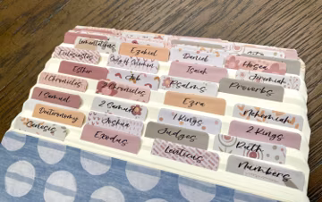 Laminated Bible Tabs | Books of the Bible Tabs | Pretty Bible Tab | Gifts for Christian Women | Bible Tab Sticker
