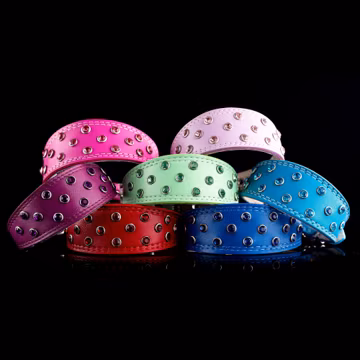 Jeweled Leather Dog Collar: Italian Greyhound, Whippet Puppy Collar