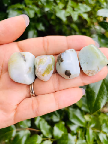 Small Green Flower Agate Crystal Tumbles (31.7G)Polished Gemstone