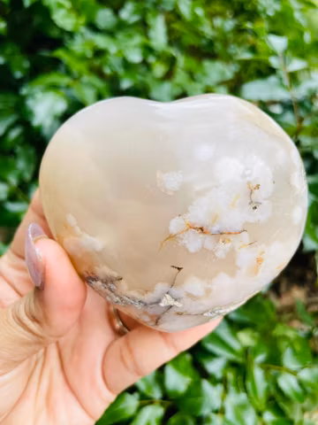 Flower Agate Crystal Heart (398G) Natural Gemstone Heart Polished 46mm
