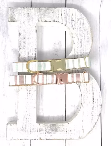 Personalized, Dog Collar, Girls, Boys, Stripe, Rose Gold, Gold, Teal, Aqua, Engraved, Striped, Trendy, Metal Hardware, Female, Male, Trendy