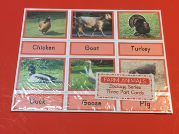 Zoology Series - Farm Animals- Three Part Card Set (PRINTED) - Montessori Material for Primary Language