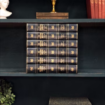 Classic Books by the Foot: Vintage Black, Blue, and Gold Book Bundle Encyclopedia Americana Dark Academia Study Library Decor