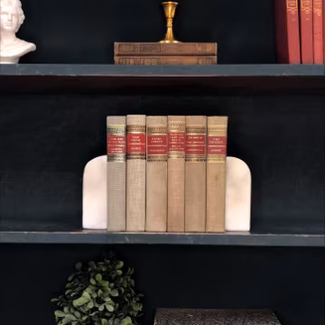 Classic Books by the Foot: Vintage Beige Neutral Classics Club Collection Homer, Aristotle, Edgar Allan Poe Home Library Decor