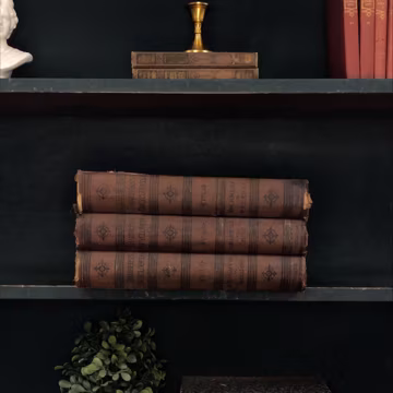 Classic Books by the Foot: Antique Brown Encyclopedia Books Vintage Rustic Chamber's Library Decor