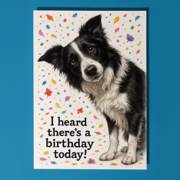 Border Collie Birthday Card – Funny Dog Breed Greetings - Personalised Front & Inside