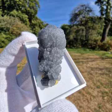 Calcite with Jamesonite inclusions - Herja Complex - Romania Minerals - Crystals
