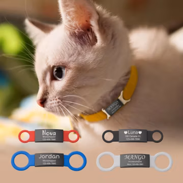Cat Tags - Slide on Pet Tag - Custom Slide on Cat Id Tag - Cat Name Tag Silent - No Noise Slide Cat Collar Tag - Cat Gift