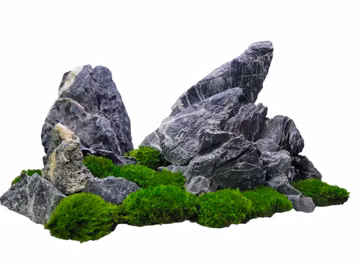 Black Seiryu Stone for Aquarium , Garden, Bonsai – Aquascapers Aquarium Planted Fish Tank Natural Stone