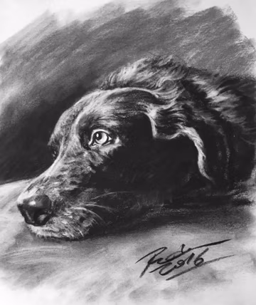 Custom Pet Charcoal Portrait from Photo, Hand-Drawn Dog Memorial Gift