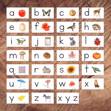 Language Cabinet Labels, Lowercase Lined Manuscript Print Edition