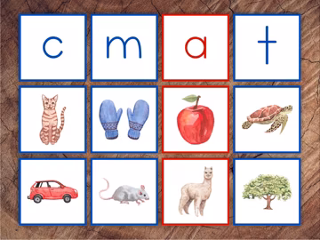 Beginning Letter Sounds Picture Sorting Card Set, Blue Consonants Red Vowels