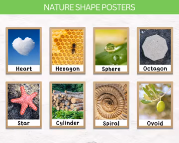 Montessori Nature Shape Posters | Instant Download