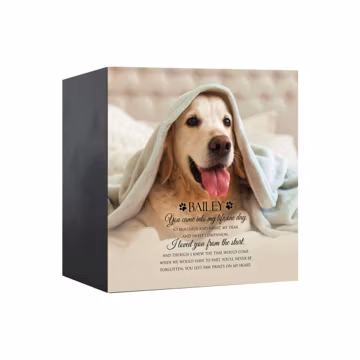 Pet Memorial Shadow Box Urn for Animal Ashes | Dog Urn for Ashes | Cat Urn for Ashes | Dog Memorial Gifts | Cat Memorial Gifts