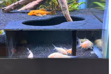 Aquarium/Terrarium Corner Tunnel Fish Cave Fish Hide Reptile Hide 2 Sizes 2 Colors Free Shipping