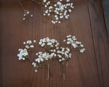 5 -24 pieces Baby's Breath Hair Pin, Gypsophila Hair Pin, Baby's Breath Bridal Hair Pin, Bridal Hair Accessories, Dried Flower Hair Pins