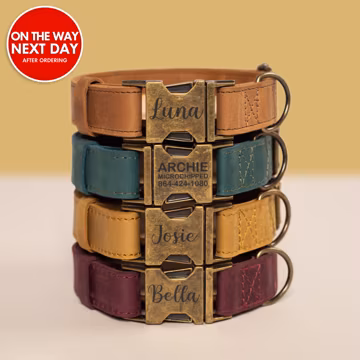 Rustic dog collar, Dog collar, Genuine Leather dog collar, Vintage Pet collar, Personalised dog collar, Custom dog collar, Gifts for pets