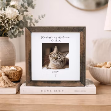 Custom Cat Memorial Picture Frame, Personalized Pet Sympathy Gift, Cat Tribute Photo, Angels Have Whiskers