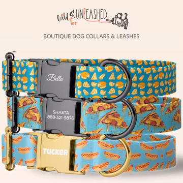 Cheese Pizza Hot Dog Personalized Dog Collar, Pet Collar with Engraved Metal Buckle, Game Night Snacks Pattern, Optional Matching Leash