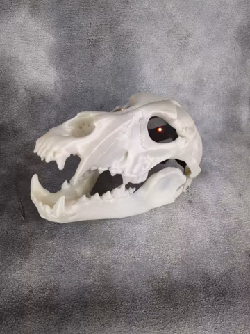 3D Printed Wolf Skull Mask with Moving Jaw - Cosplay Halloween Mask