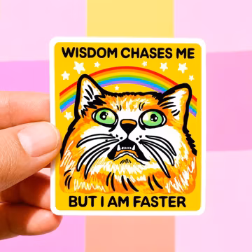 Funny Sticker Orange Cat Humor Meme Decal Goofy Gift Sarcastic Sticker Funny Water Bottle Decor Notebook Decor College Student High School