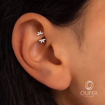 16G Lotus Flower Rook Earring, Gold/Silver Crown Curved Barbell, Dainty Eyebrow Piercing Ring, Cartilage Rook Jewelry, Earring Gift