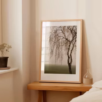 Minimalistische Natur Fotokunst | Herbstlicher Baum Fotografie | Birke im Nebel | Fine Art Kunstdruck, ungerahmt | SILENT WAVES| FALL