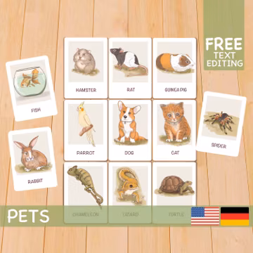 Pets Flashcards, Homeschool Montessori Materials Flash Cards, Printable Toddler Resources Nomenclature Cards English German