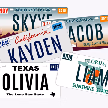 Custom State License Plates | Personalized Front Car Tag | 2x4, 3x6, 4x7, 6x12 | Flat Printed