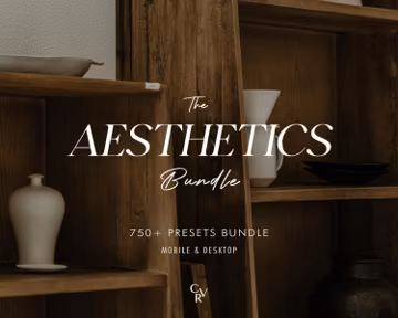 750+ AESTHETIC Bundle Presets - Mobile and Desktop - Lightroom Preset Bundle for Instagram - Best Deal - Minimal, Neutral, Creamy Tones