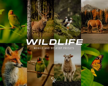 15 Wildlife Lightroom Presets. Desktop And Mobile. Animal, Jungle, Bird, Earthy, Forest, Travel Blogger Filter for Outdoor Photography