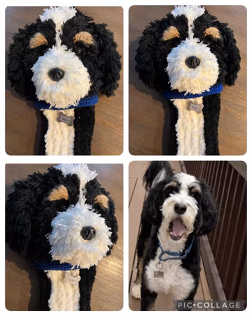Custom Dog Golf Club headcover, Personalized Dog Golf headcover , Golf gift for Dad, Golfer Goft, pet headcover